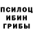 Галлюциногенные грибы Psilocybine cubensis margvi1