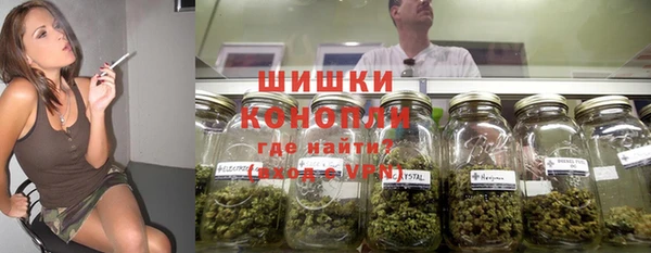 ПСИЛОЦИБИНОВЫЕ ГРИБЫ Навашино