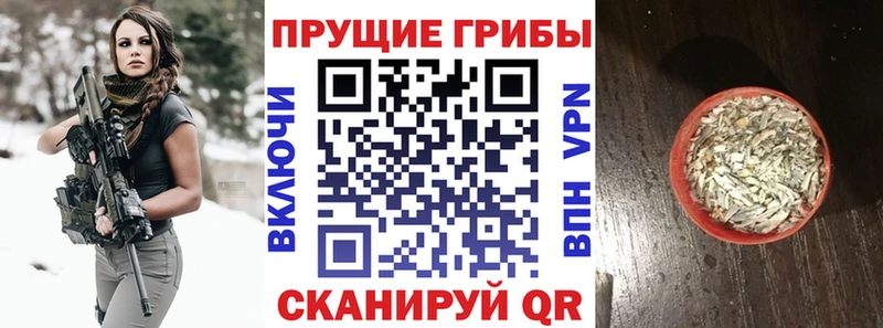 Псилоцибиновые грибы Magic Shrooms  кракен маркетплейс  Нахабино 