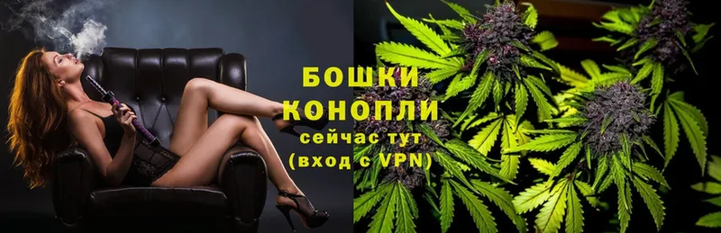 blacksprut ссылка  Нахабино  Канабис планчик 